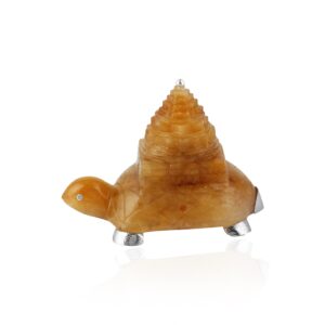Red Aventurine Turtle Yantra Silver 92.5
