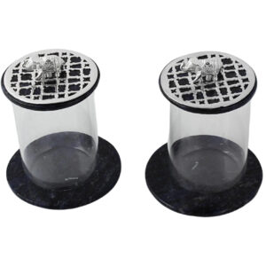 The Maharaja Coaster and Glass Cover set of 2 (Total 4 pcs)