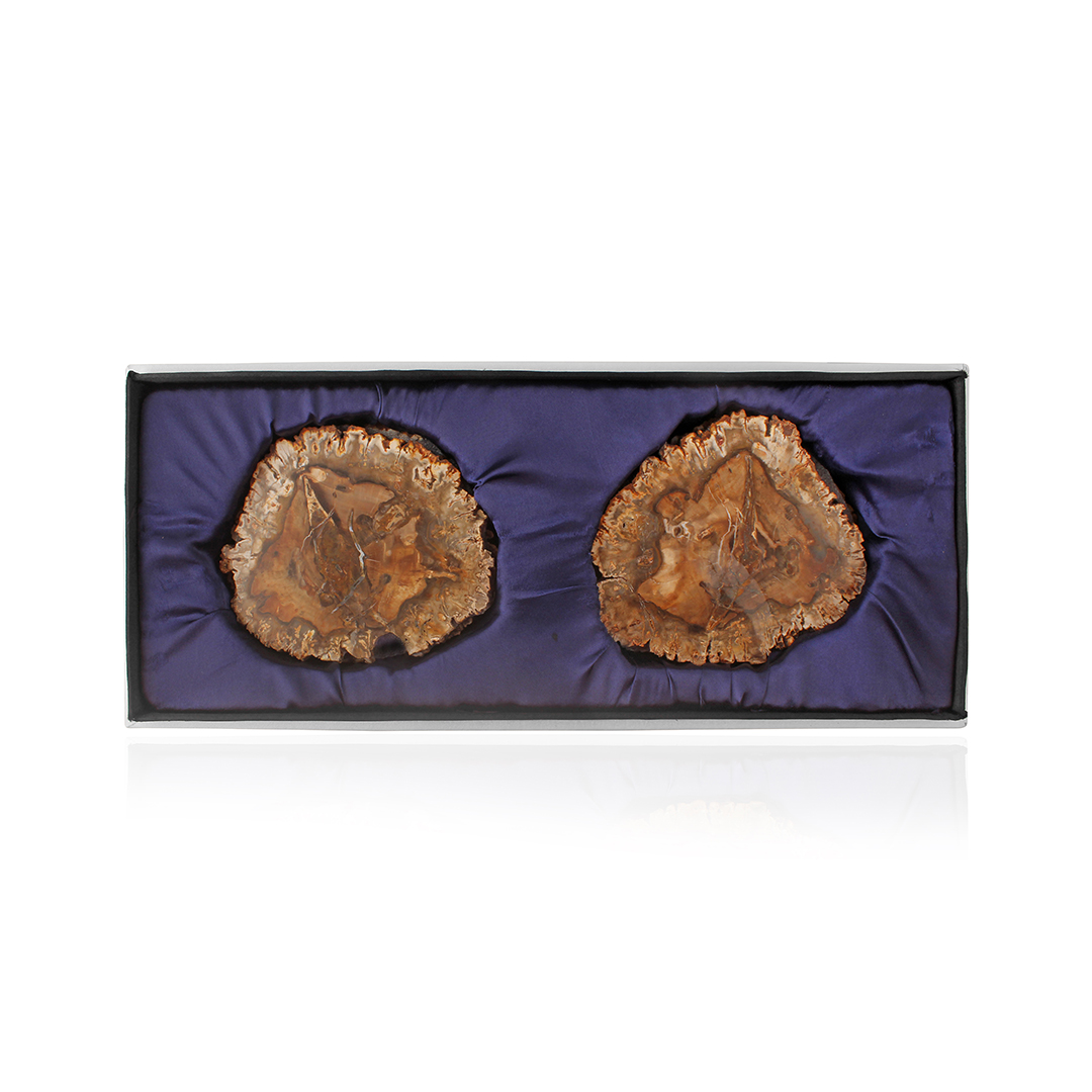 Petrified Wood Coasters (set of 4)