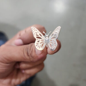 1 by 1 inches butterfly