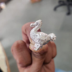 1 by 1 inches dudo brids